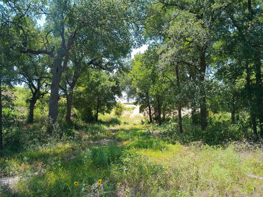212 Serenity Dr, Liberty Hill, TX 78642 - #3