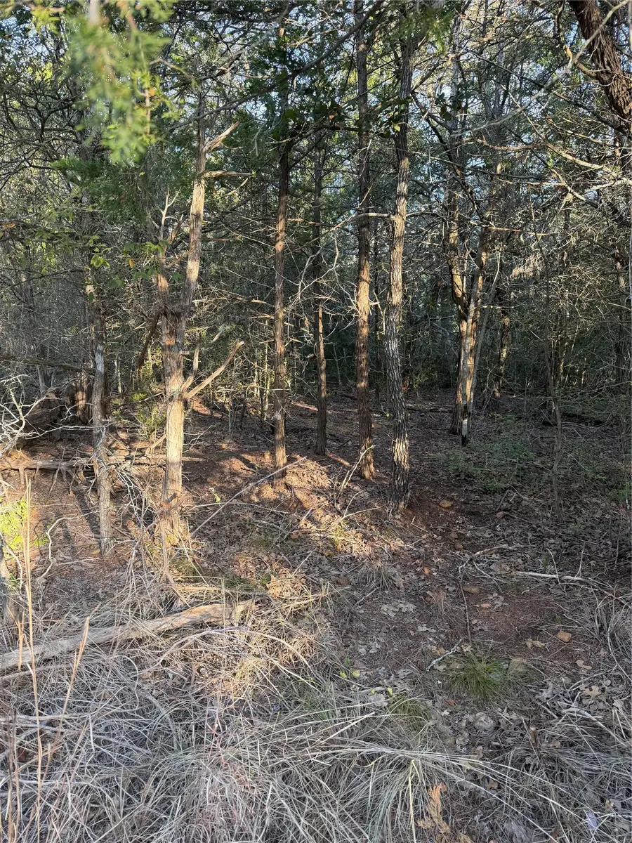 148 Helemano Dr, Bastrop, TX 78602 - #3