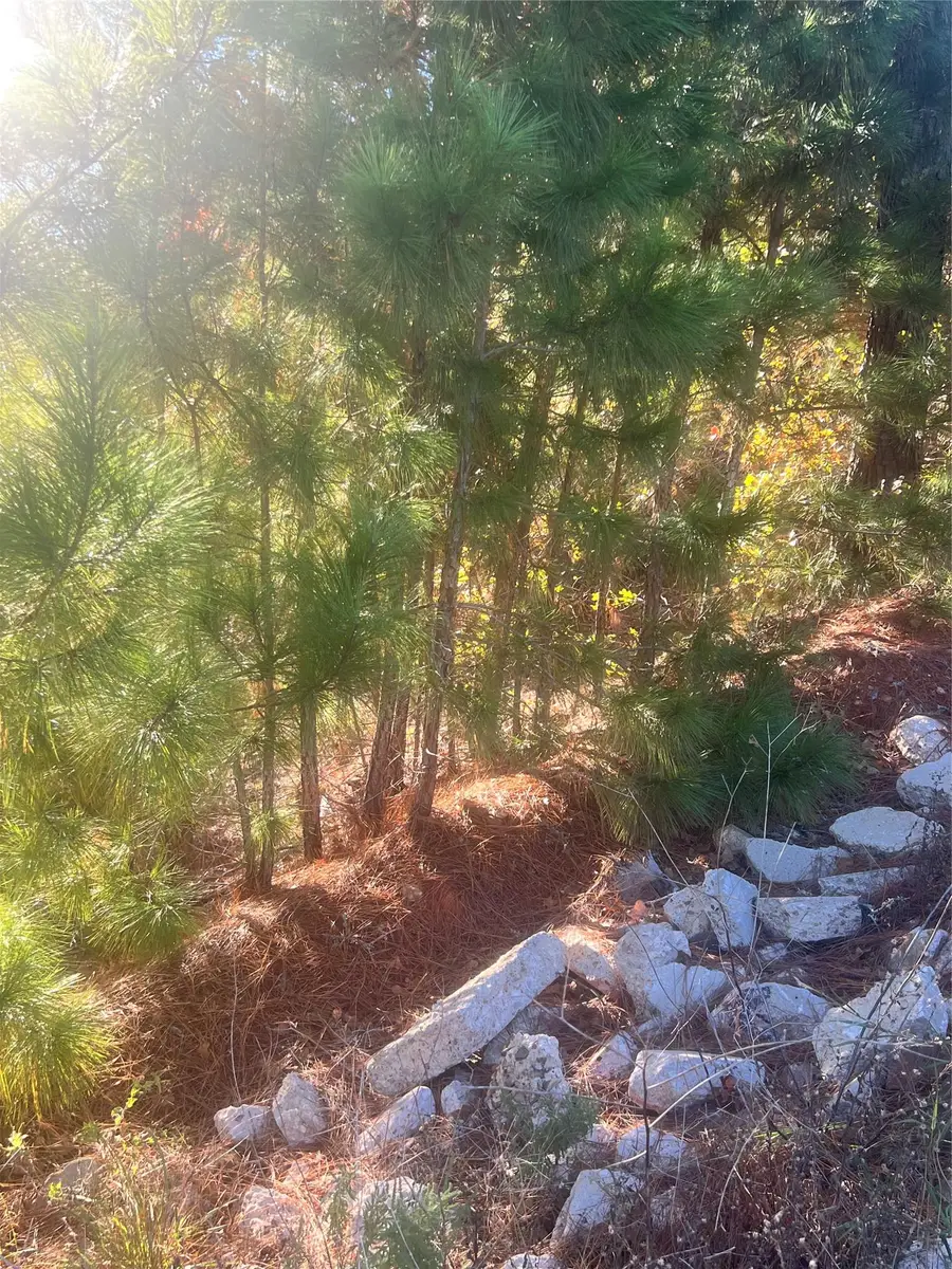 TBD Onini Ct, Bastrop, TX 78602 - #2