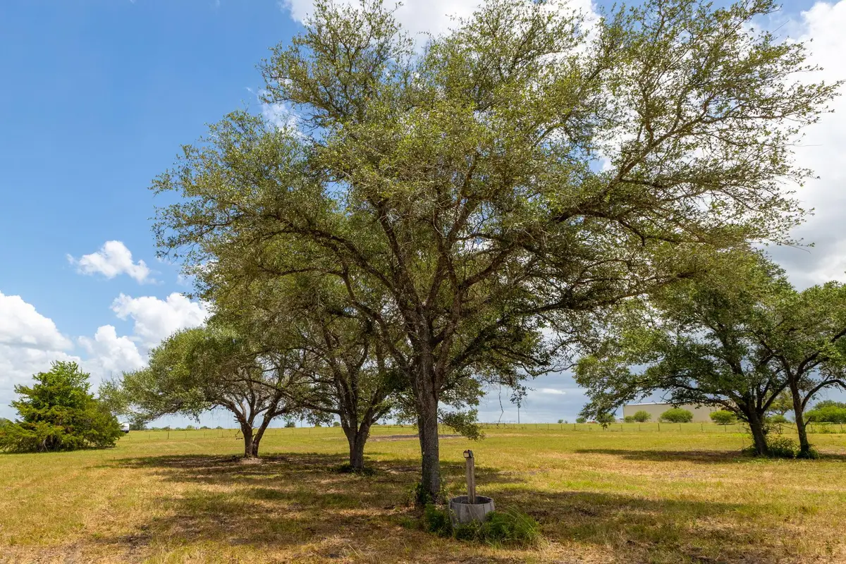 1021 E Old Hallettsville Rd, Flatonia, TX 78941 - #1