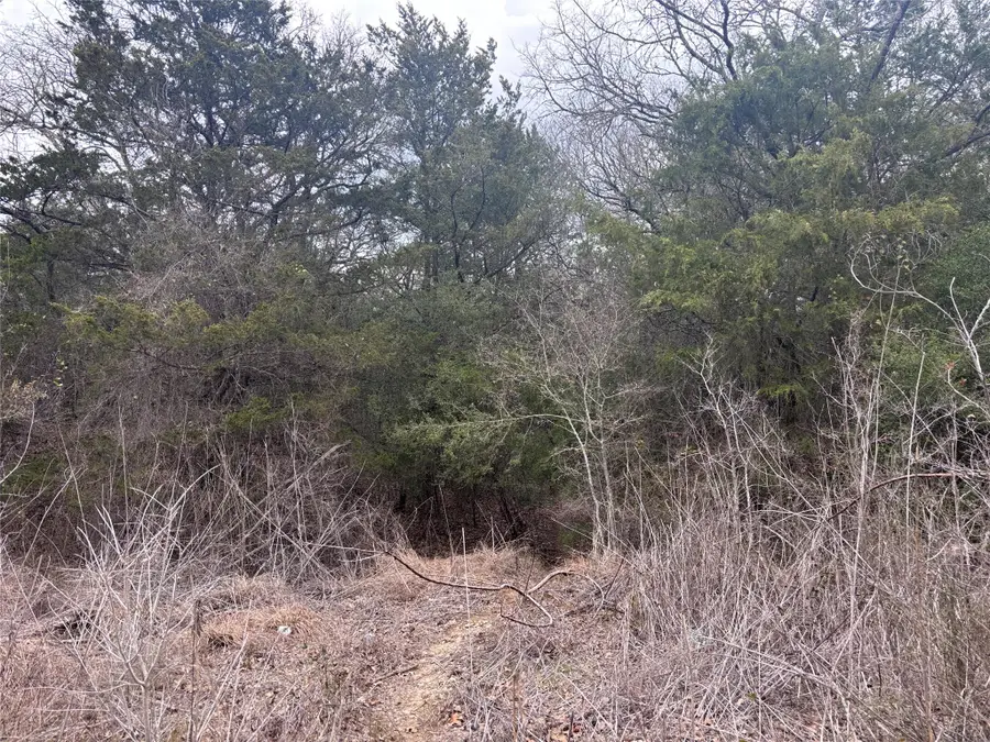 TBD Pearson Rd, Cedar Creek Red Rock, TX 78616 - #2