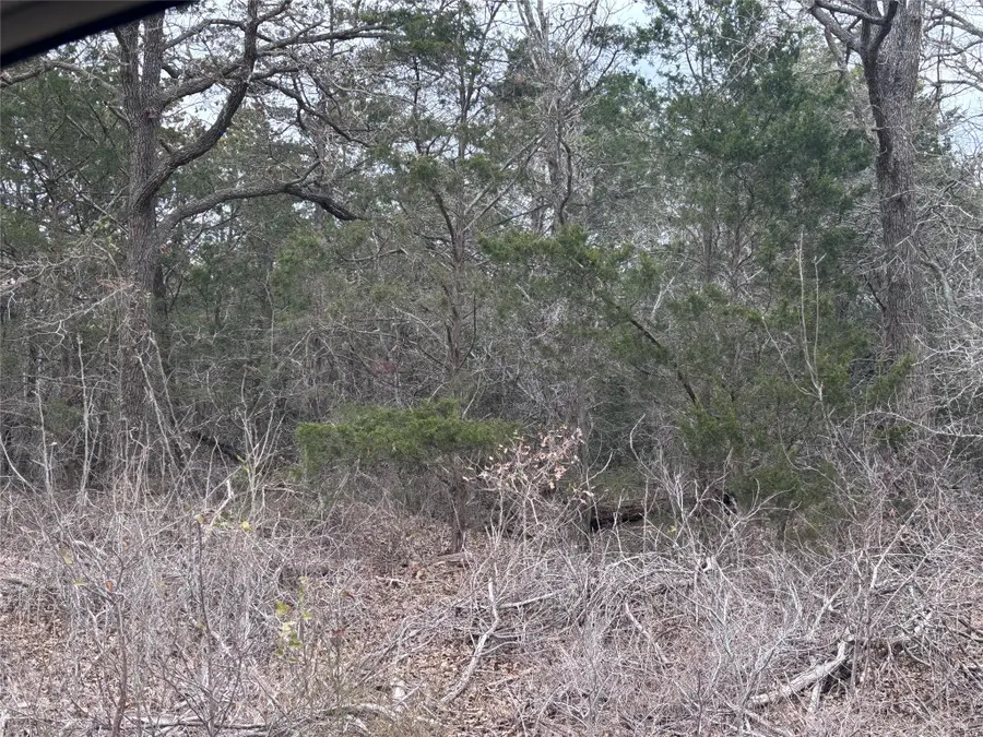 TBD Pearson Rd, Cedar Creek Red Rock, TX 78616 - #3