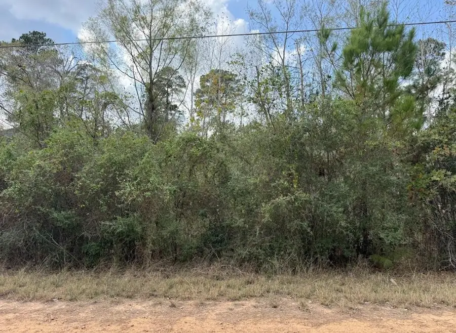 Lot 233 Makaha Dr, Bastrop, TX 78602 - #2