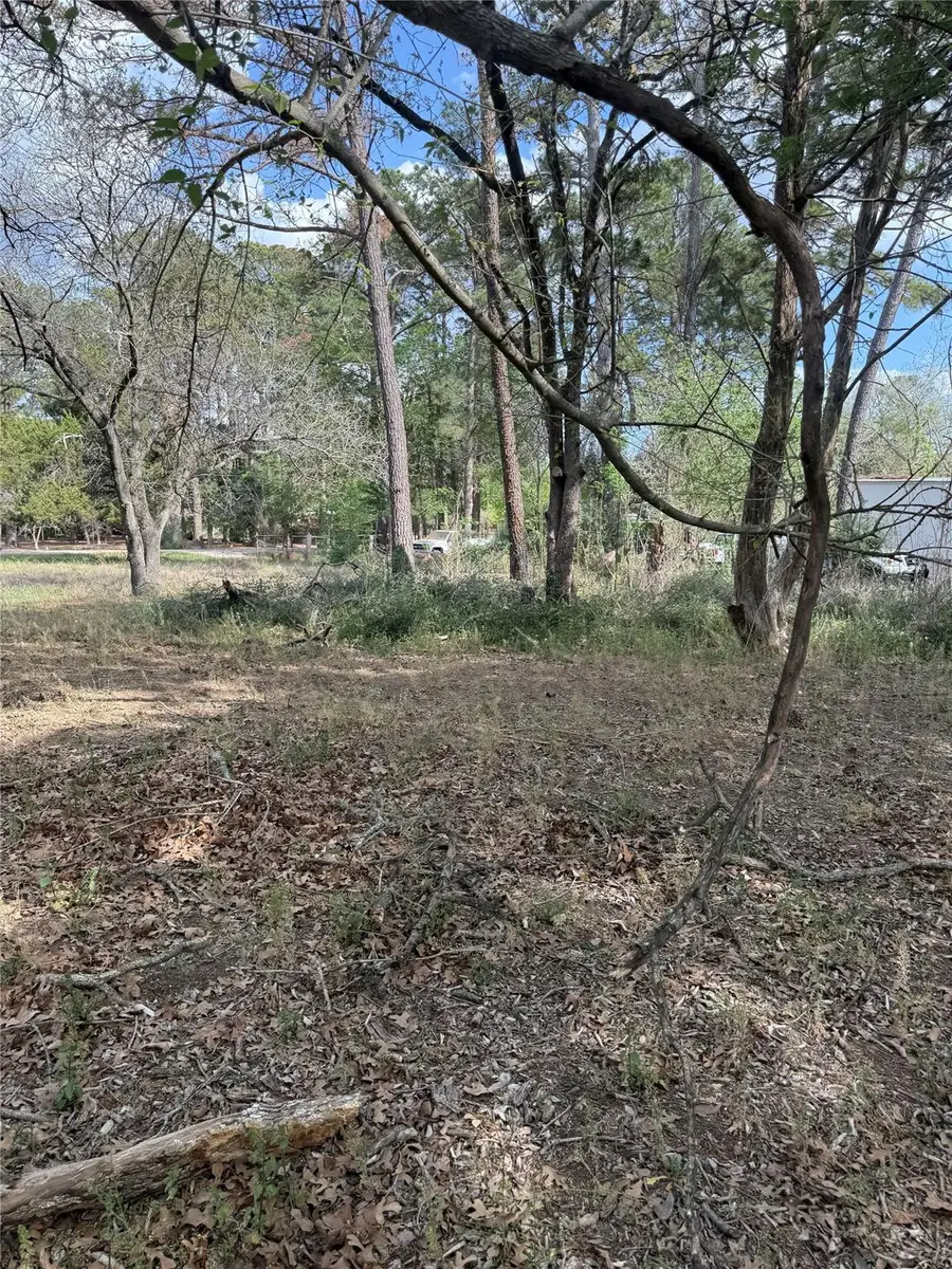 Lots 141 & 142 Pine Song, Bastrop, TX 78602 - #2