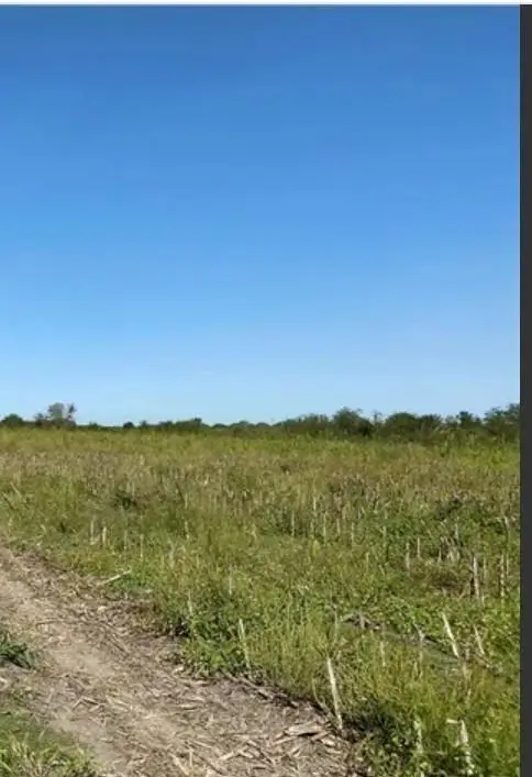 0004 Bois D Arc Rd, Manor, TX 78653 - #1