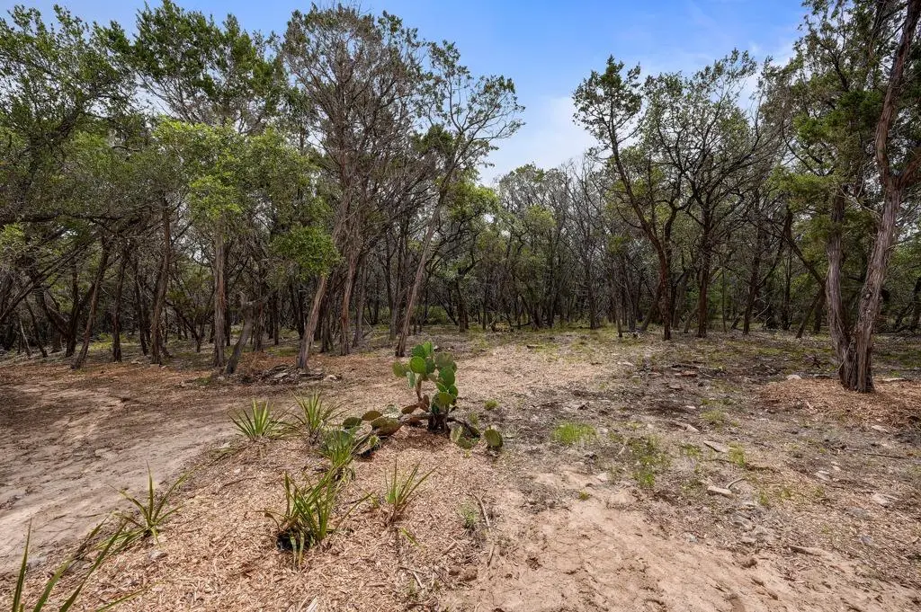 000 Rancho Grande Dr, Wimberley, TX 78676 - #1