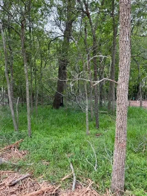 225 Kahana Ln, Bastrop, TX 78602 - #1