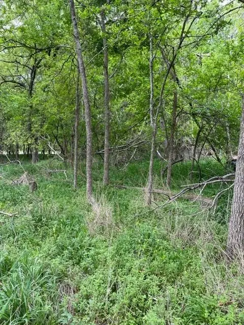 225 Kahana Ln, Bastrop, TX 78602 - #2