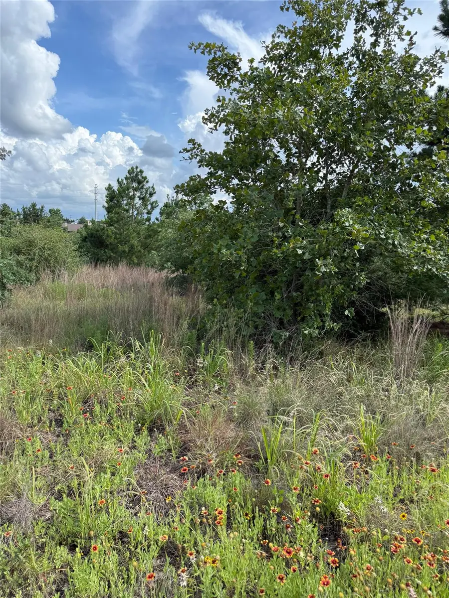 Lots 88, 89, 90 Pintail Ln, Bastrop, TX 78602 - #2
