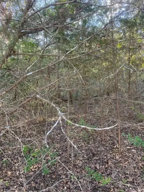 #3