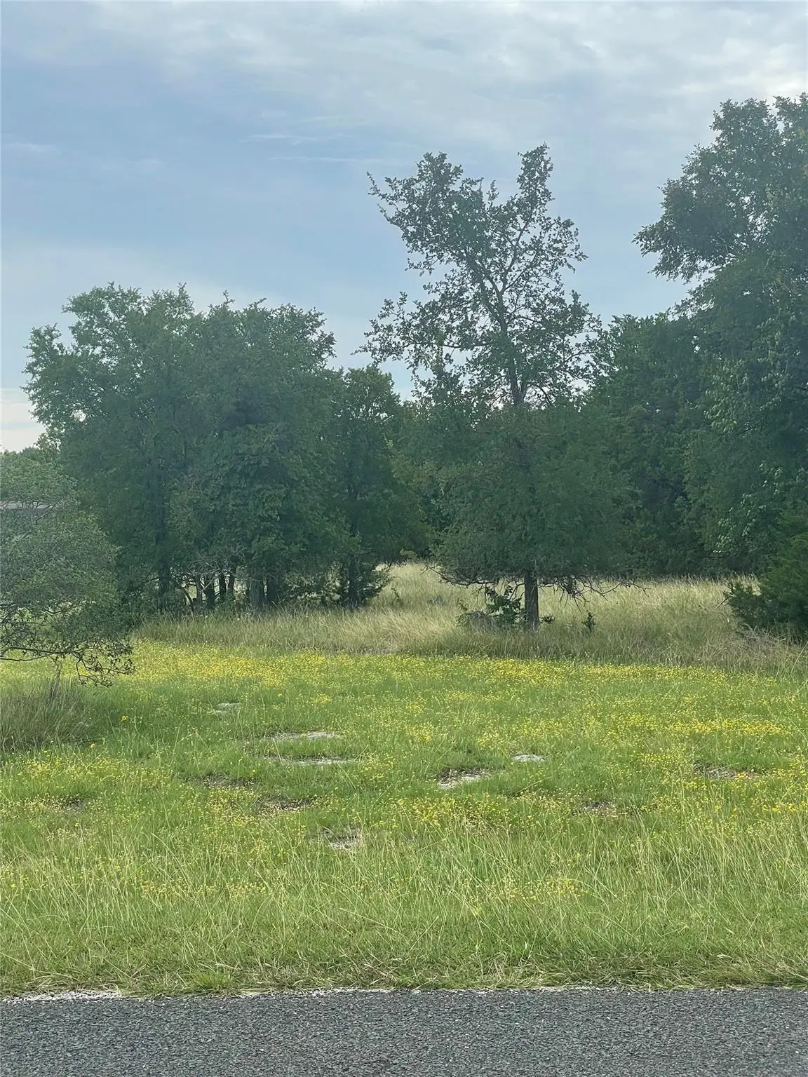 255 Sedro Trl, Georgetown, TX 78633 - #1