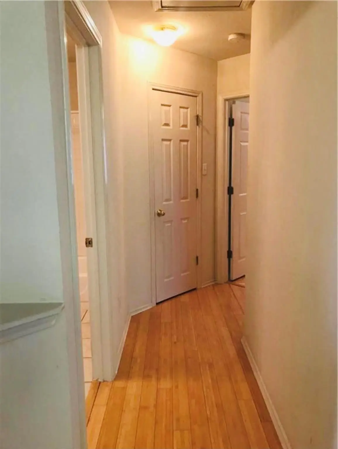 8337 Alvin High Ln, Austin, TX 78729 - Image #1