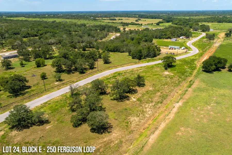 250 Ferguson Loop, Dale, TX 78616 - #3