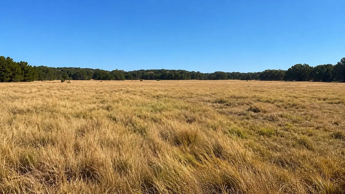 0 County Road 2659, Lometa, TX 76853 - #1