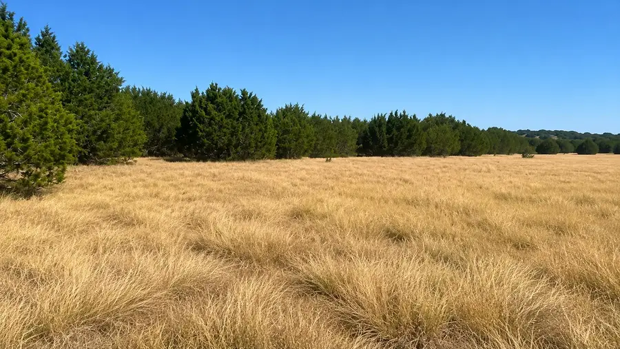 0 County Road 2659, Lometa, TX 76853 - #2