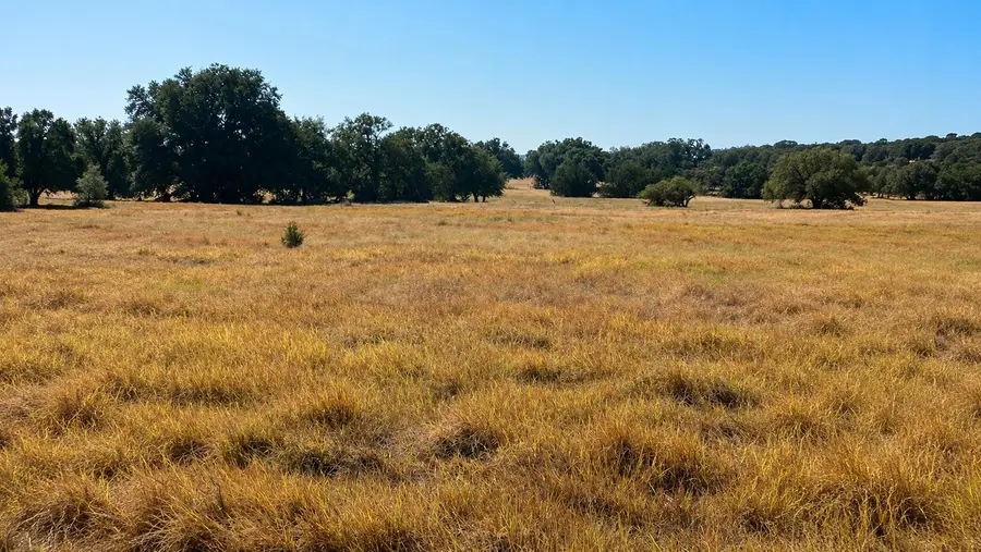 0 County Road 2659, Lometa, TX 76853 - #3