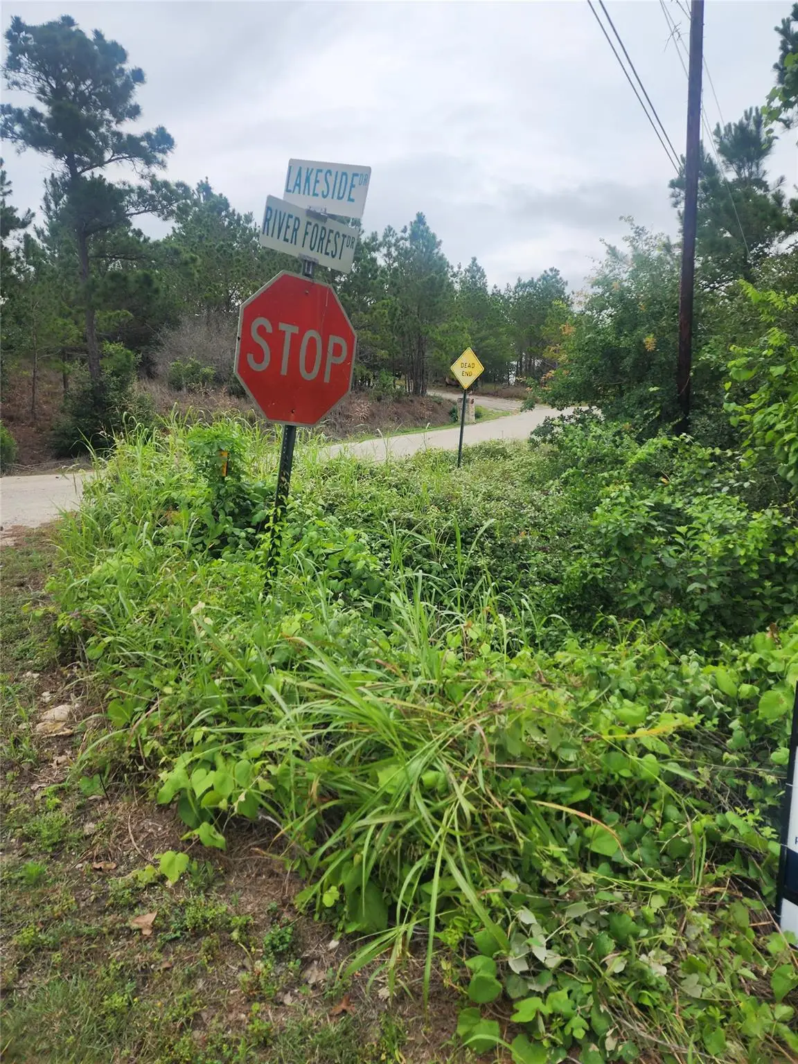lot 70 Lakeside Dr, Bastrop, TX 78602 - #1