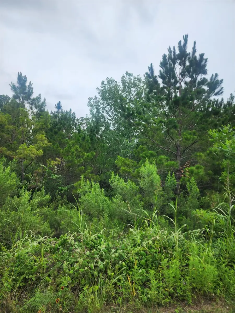 lot 70 Lakeside Dr, Bastrop, TX 78602 - #2