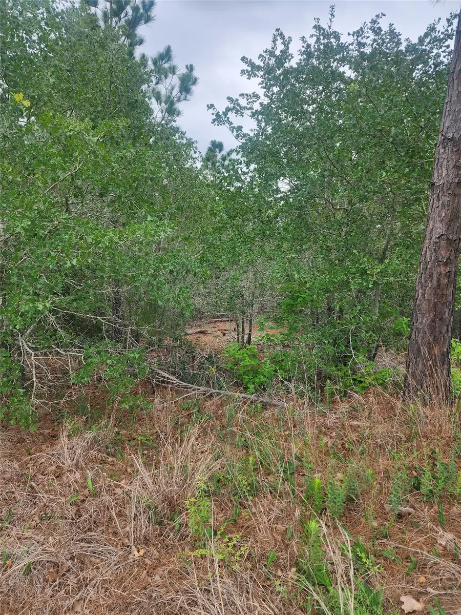 lot 70 Lakeside Dr, Bastrop, TX 78602 - #3