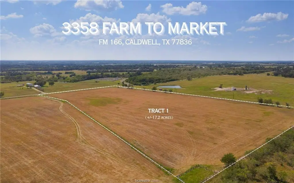 TBD Fm 166 (+/-17.2 Acres), Caldwell, TX 77836 - #1