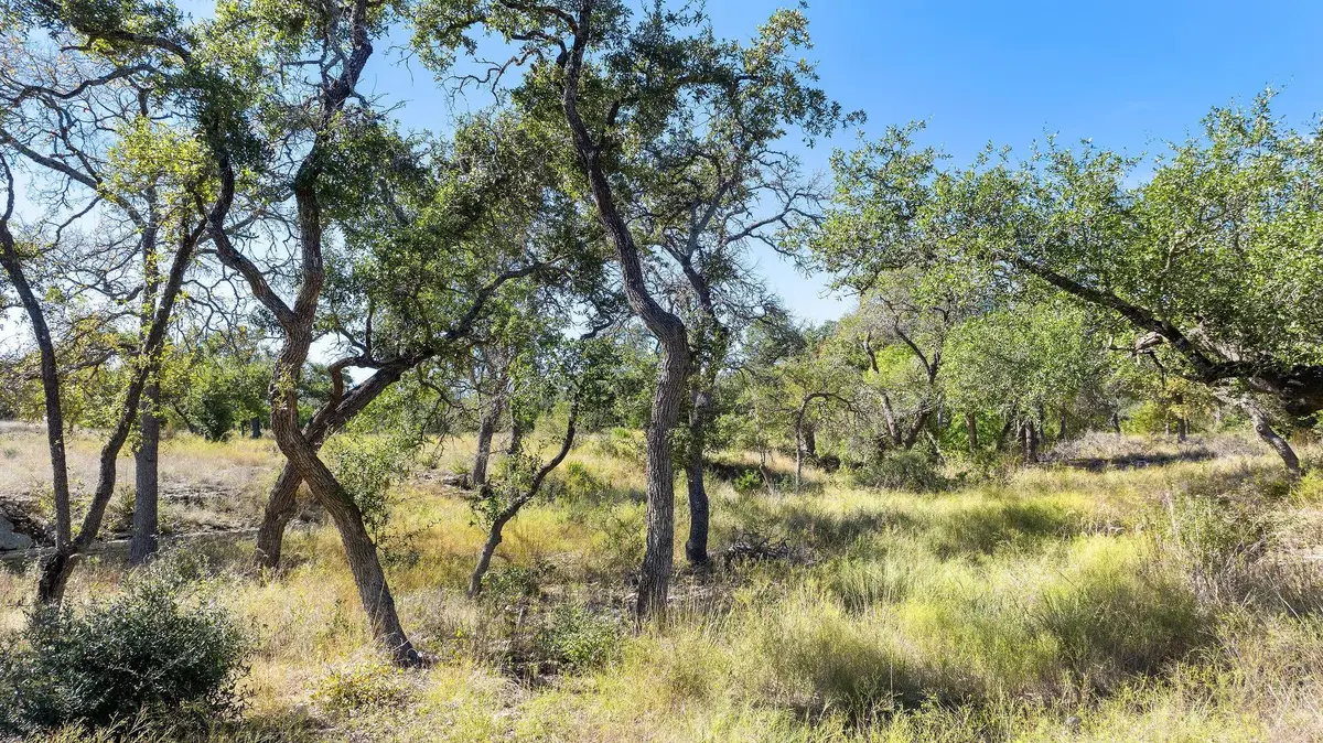 Lot 18 Mesa Ranch Rd, Dripping Springs, TX 78620 - #1