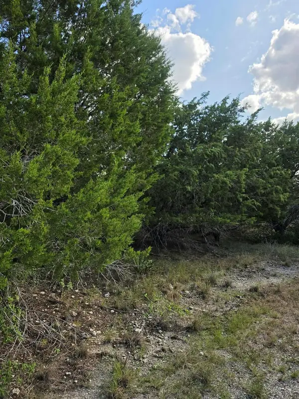 21301 Santa Marta Cv, Leander, TX 78645