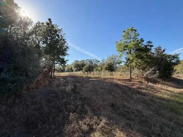 TBD Fm 141, Dime Box, TX 77853 - #2