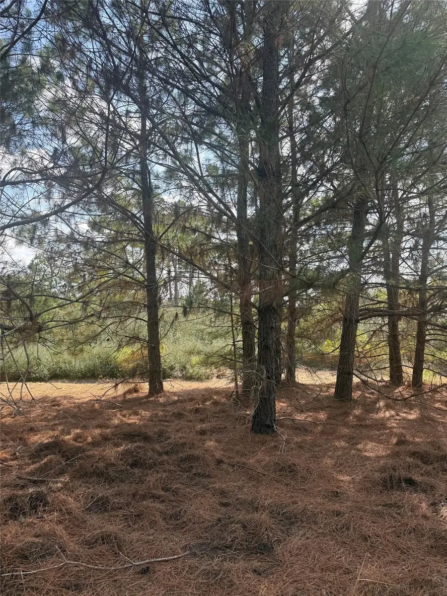 123 Koali Dr, Bastrop, TX 78602 - #3