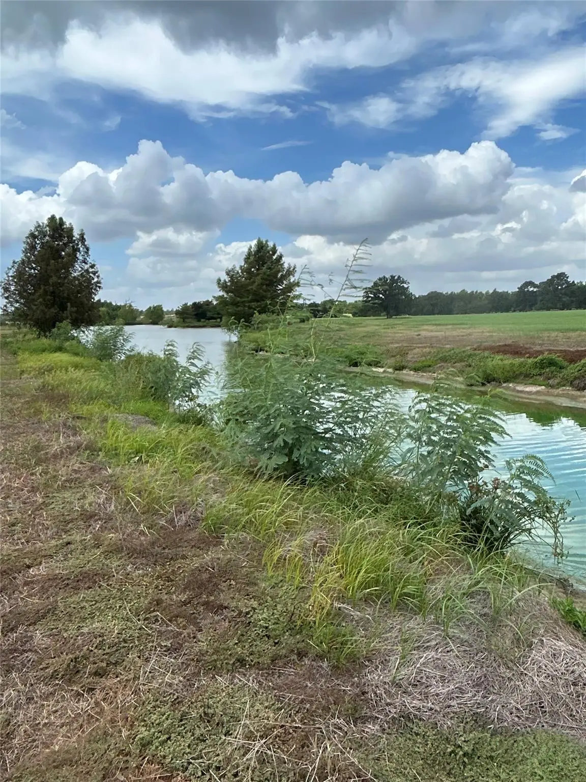 000 Old Potato Rd, Paige, TX 78659 - #1