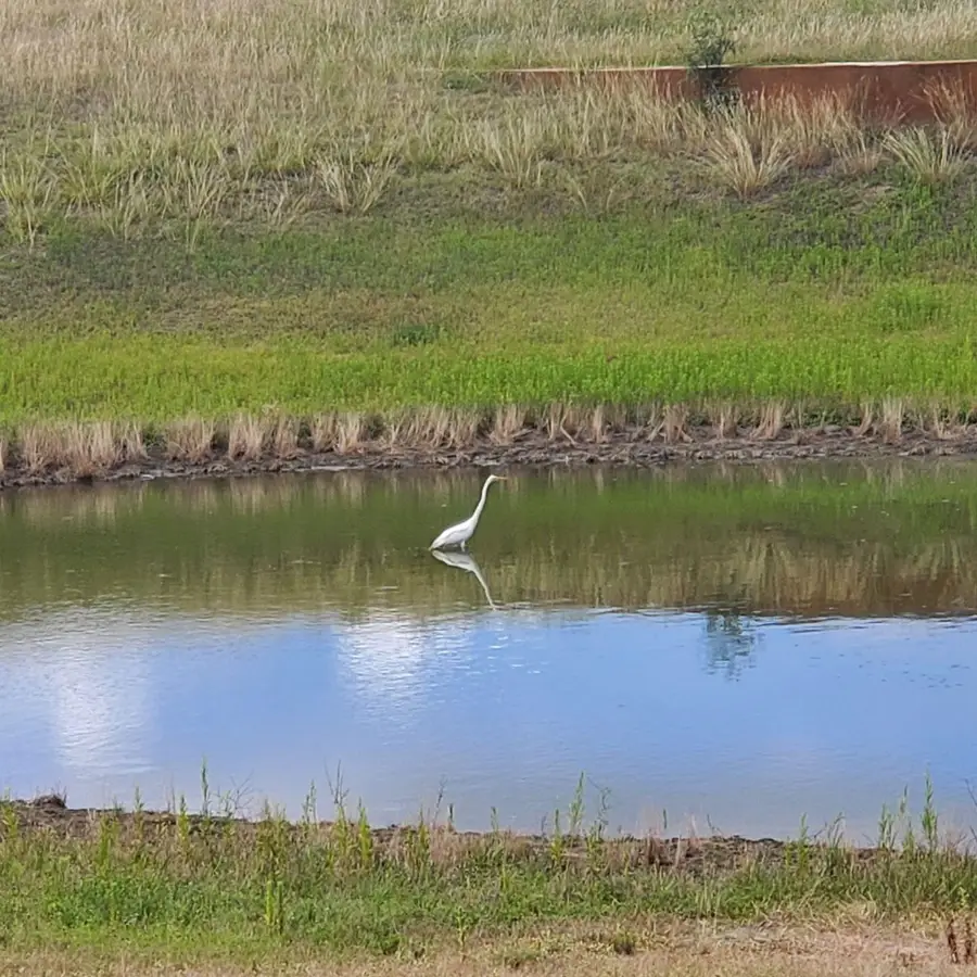 1115 County Road 414, Spicewood, TX 78669 - Image #2