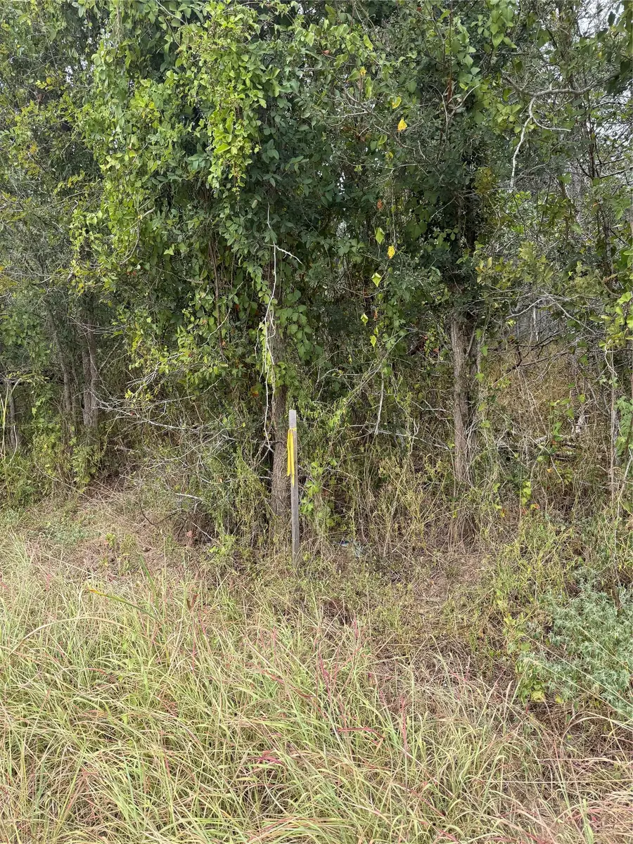Lots 451, 452, 453 Heleakala Dr, Bastrop, TX 78602 - #2