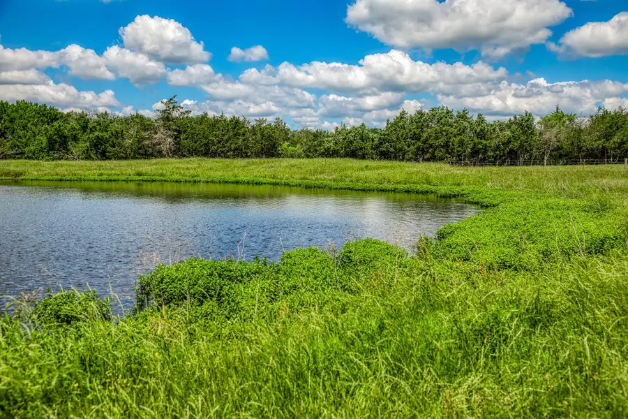 1850 Lcr 439, Personville, TX 76667 - Image #2