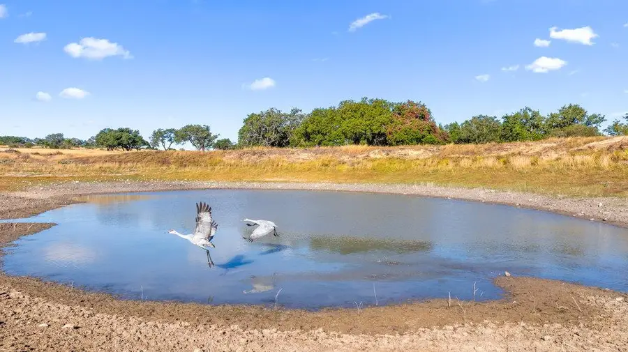 2482 Ranch Road 2721, Blanco, TX 78636 - Image #3