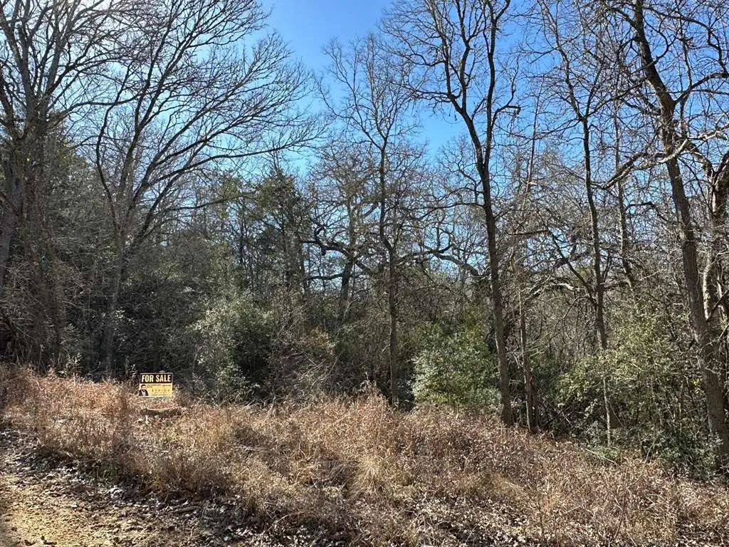 TBD Bali Hai Ln, Bastrop, TX 78602 - #1