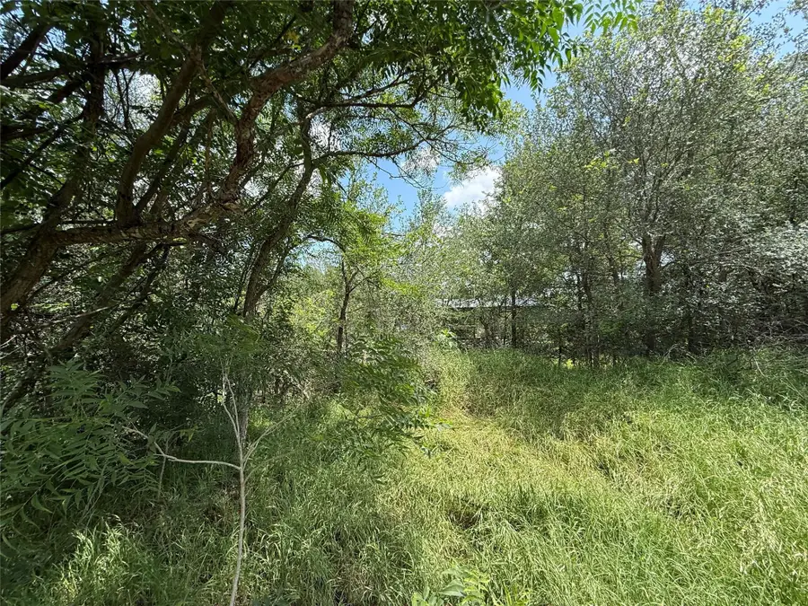 135 Jackson St, Elgin, TX 78621 - #3