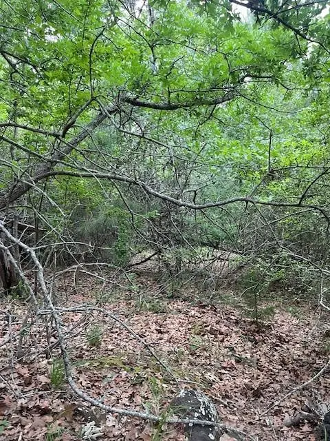 Lot 1603 Ulupau Cir, Bastrop, TX 78602 - #1
