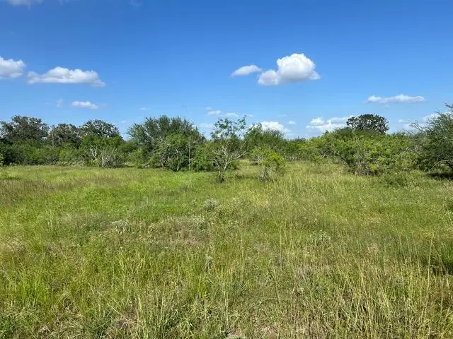 TBD Fm-2814, Waelder, TX 78959 - #1