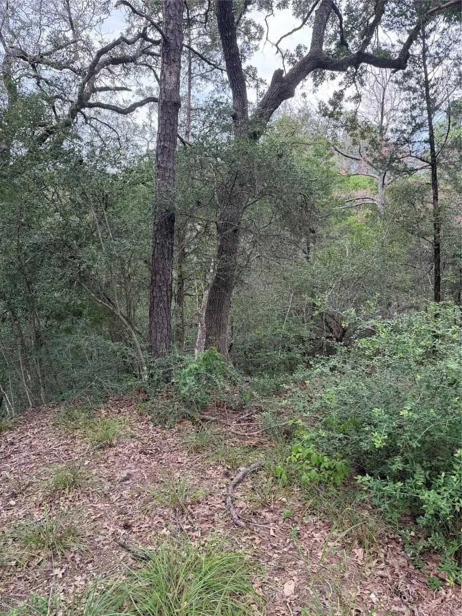 Lot 294 Aka Ct, Bastrop, TX 78602 - #2