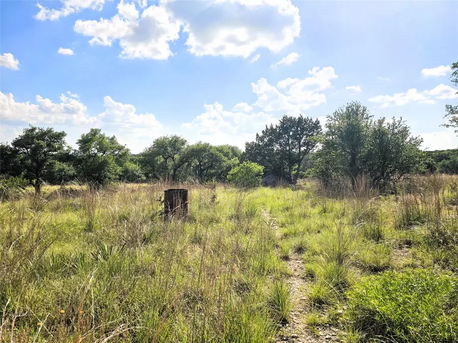 100 Reavis Dr, Kempner, TX 76539 - #3