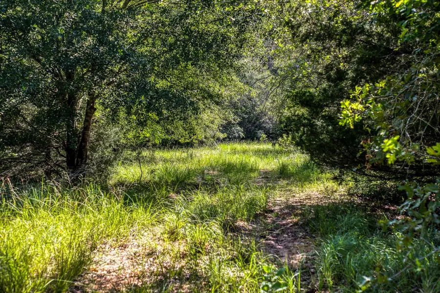 9808 Fm 908, Caldwell, TX 77836 - #2