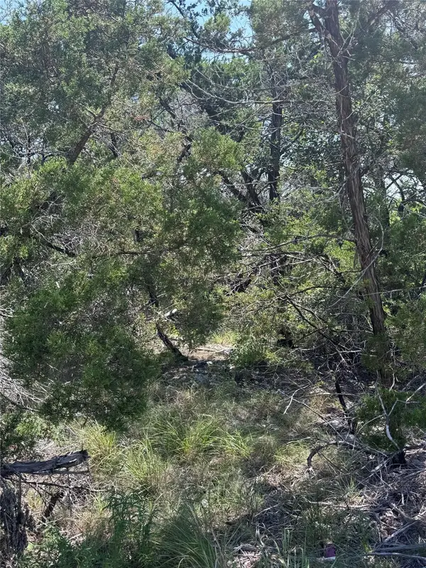 20710 Ranger Trl, Lago Vista, TX 78645