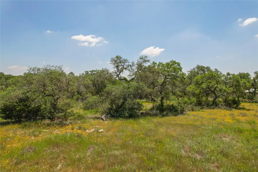 121 Asa Harold, Blanco, TX 78606 - #3