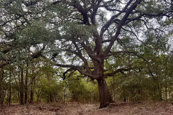 12 Acres Mt. Pleasant, Cedar Creek, TX 78612