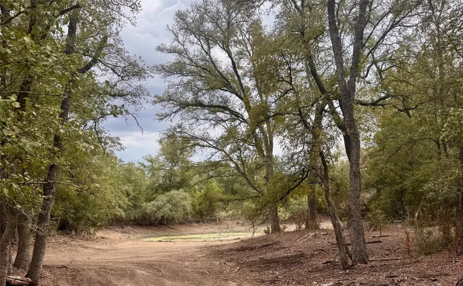 12 Acres Mt. Pleasant, Cedar Creek, TX 78612 - #2