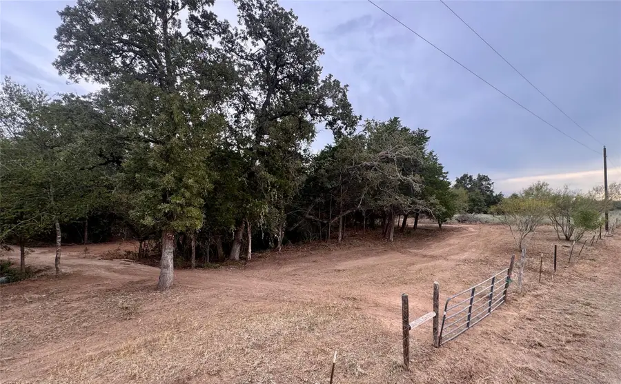 12 Acres Mt. Pleasant, Cedar Creek, TX 78612 - #3