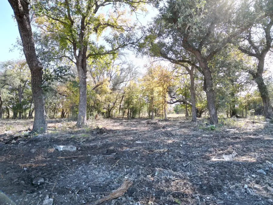 205 Serenity Dr, Liberty Hill, TX 78642 - Image #2