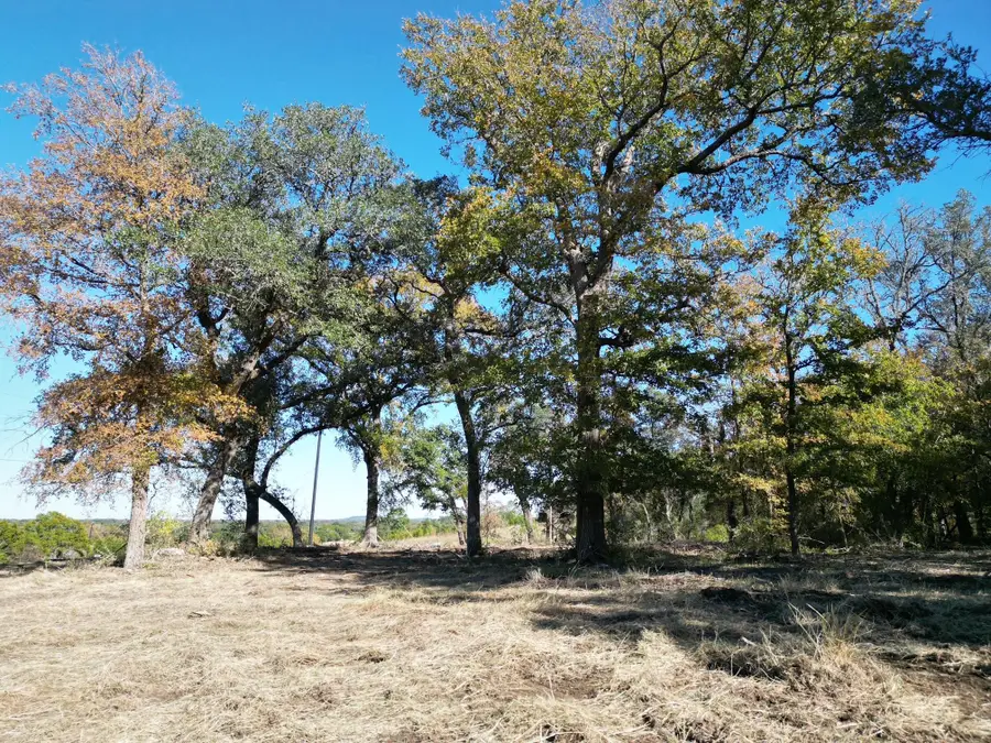 205 Serenity Dr, Liberty Hill, TX 78642 - Image #3