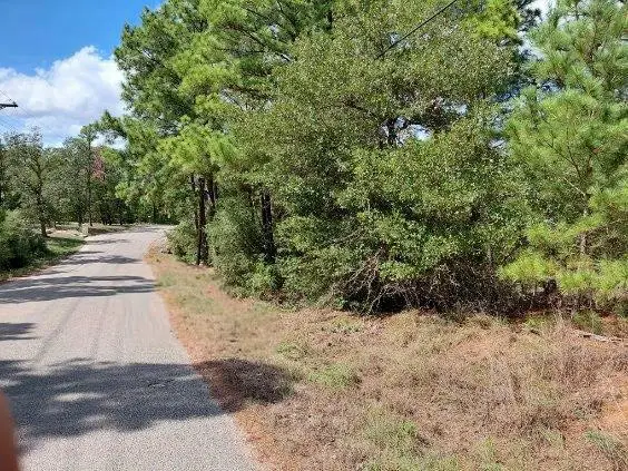 Lot 6 & 7 Wahane Ln, Bastrop, TX 78602 - #1