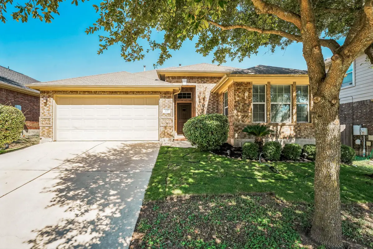 229 Wicker Park Way, Buda, TX 78610 - #1