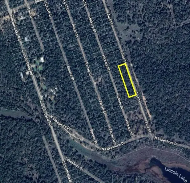 TBD Pine St, Paige, TX 78659 - Image #2